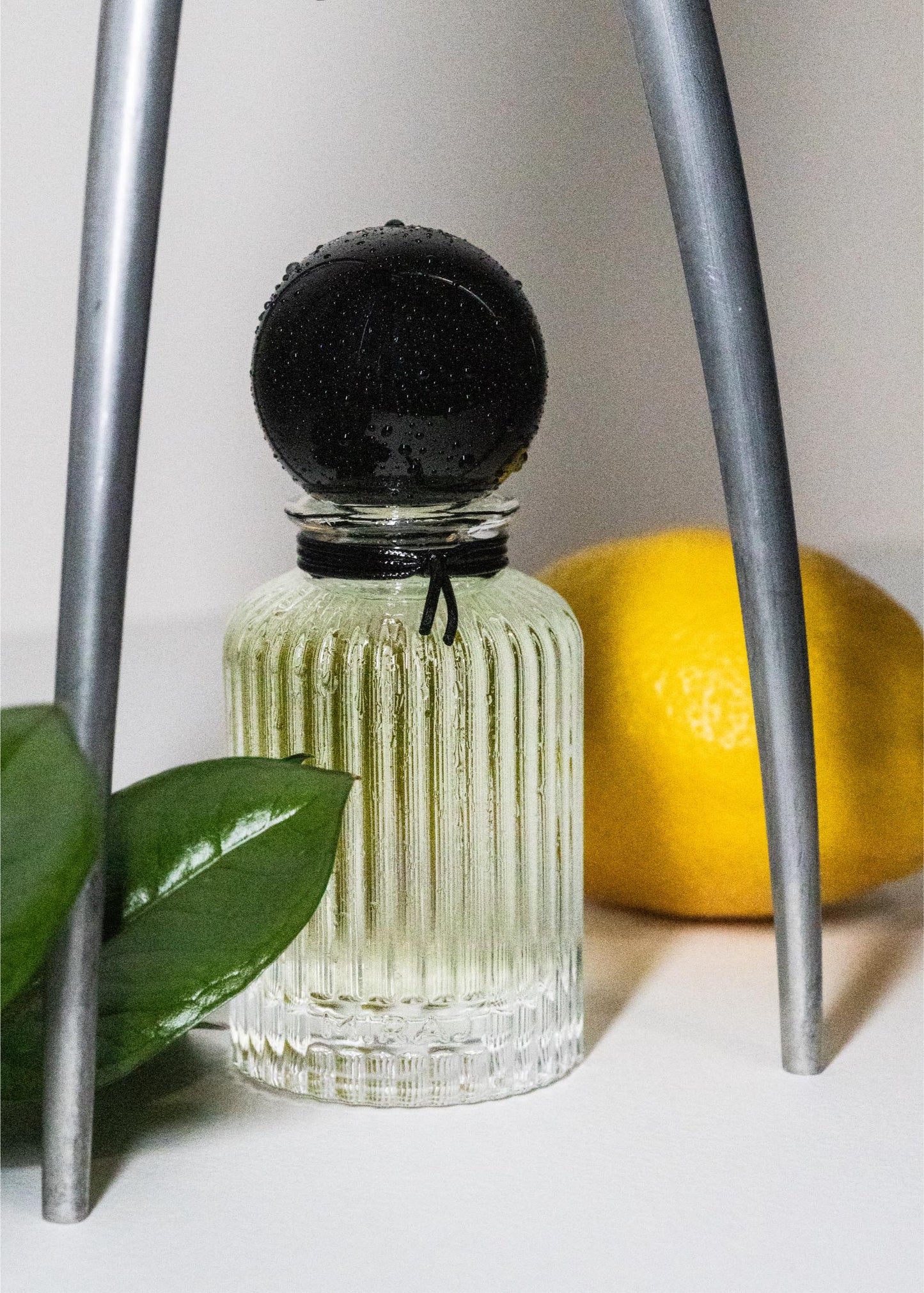 Miraj Fujer parfum 75ml – Apă de parfum fougère modern, proaspăt-lemnos, rafinat și universal
