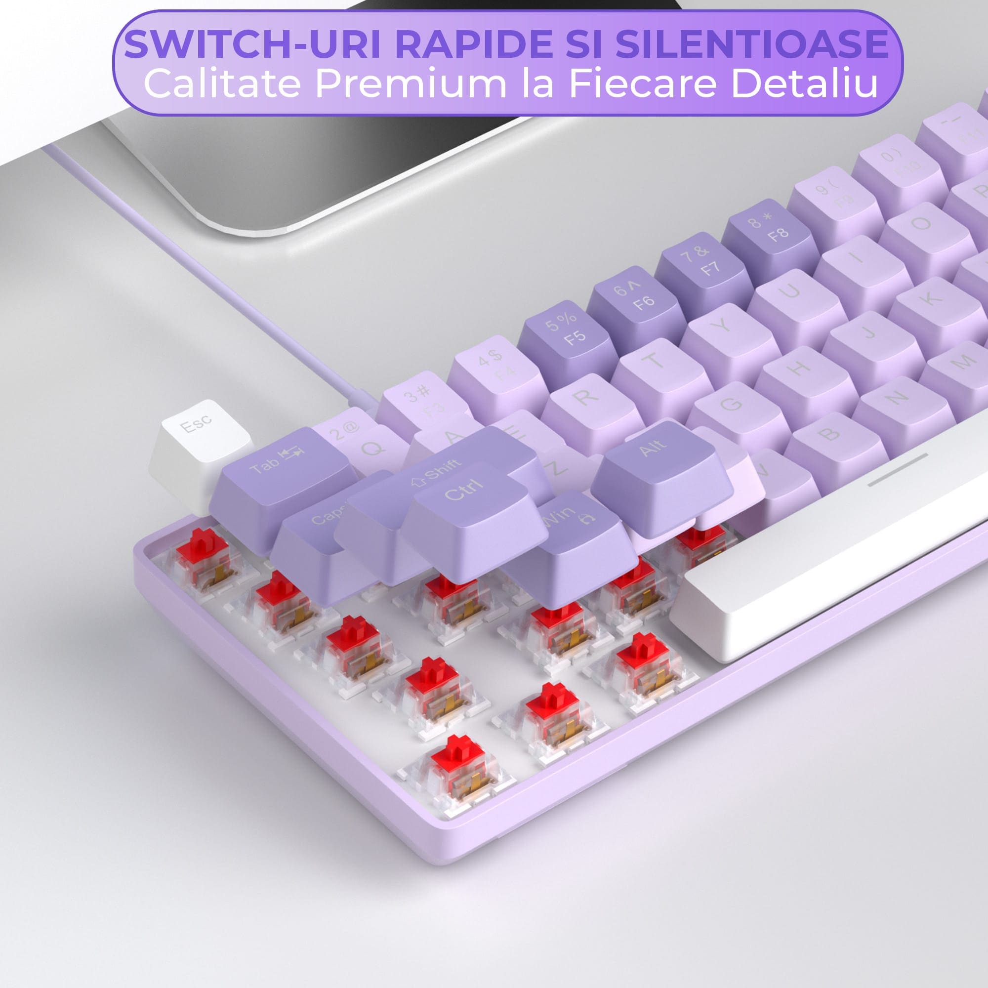 Tastatura Mecanica Gaming Timebox, Red Switch, 60%, Hot-Swap